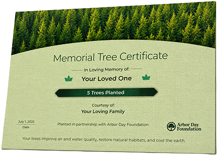 Plant Trees in Memory of John Earl McDonald, Jr.